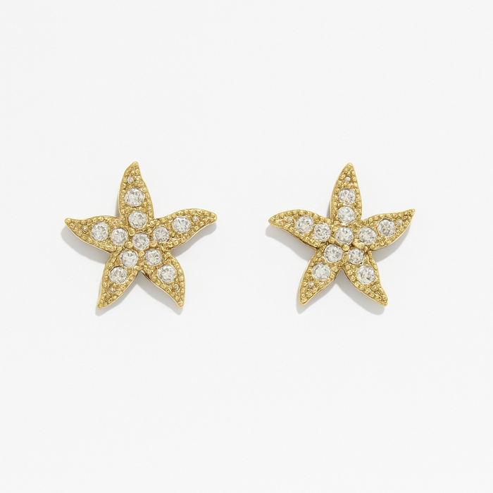 Orecchini Stella Marina